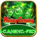 Bingo PKR Gaming Pro